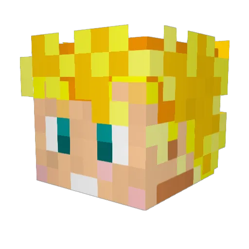 Emii14 Minecraft avatar head, 3D render