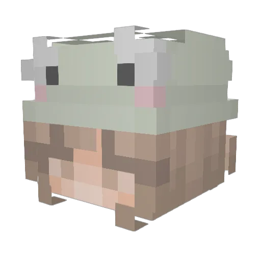 Emii211 Minecraft avatar head, 3D render