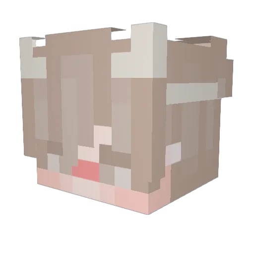 Emiir__ Minecraft avatar head, 3D render