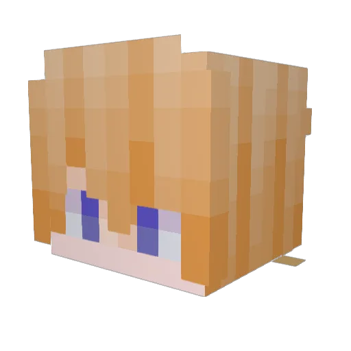 Emil248 Minecraft avatar head, 3D render