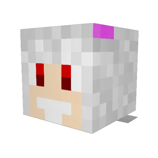 Emil6830 Minecraft avatar head, 3D render