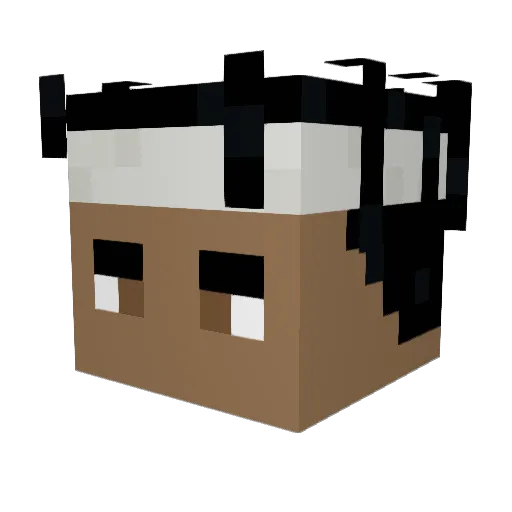 EmilAJohansson Minecraft avatar head, 3D render