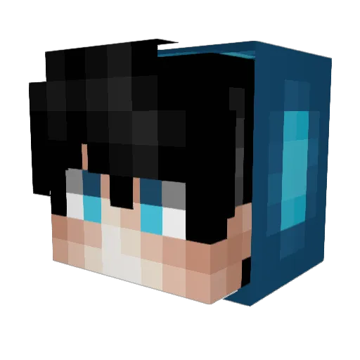 EmilGrym1413 Minecraft avatar head, 3D render