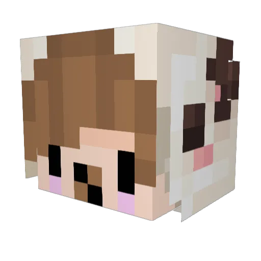 EmilLino Minecraft avatar head, 3D render