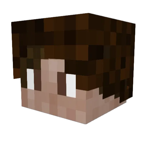EmilMakka Minecraft avatar head, 3D render