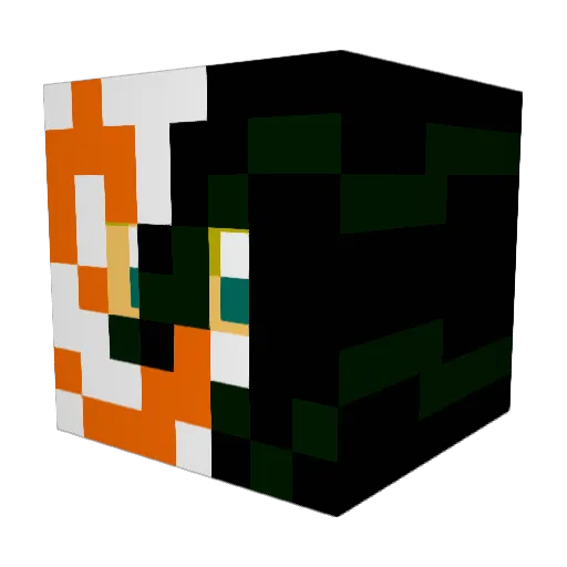 EmilPolska Minecraft avatar head, 3D render