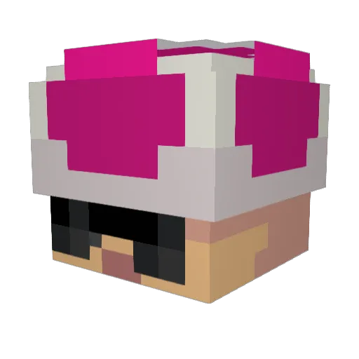 EmilW09 Minecraft avatar head, 3D render
