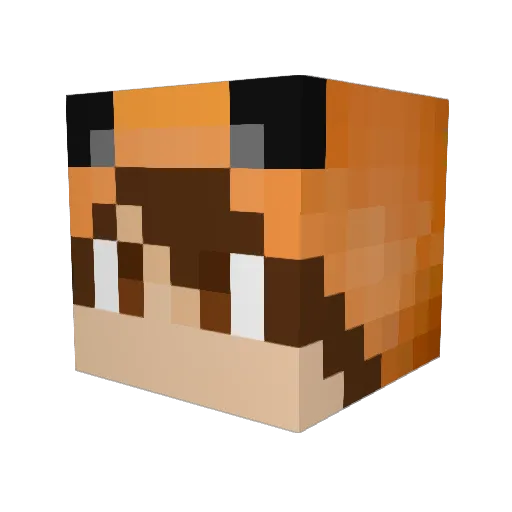 Emil_B2004 Minecraft avatar head, 3D render