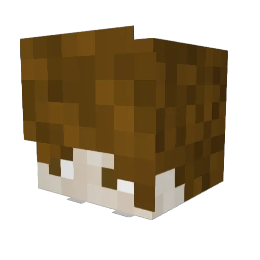 Emilanto Minecraft avatar head, 3D render