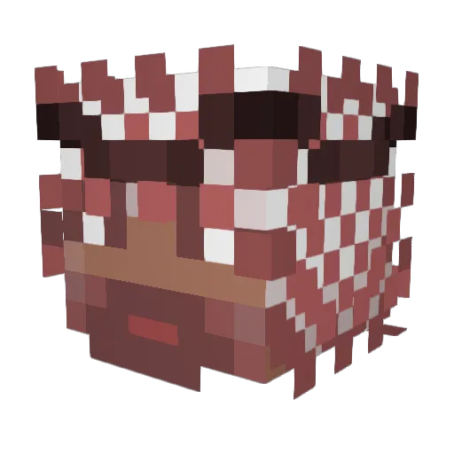 Emilboy1337 Minecraft avatar head, 3D render