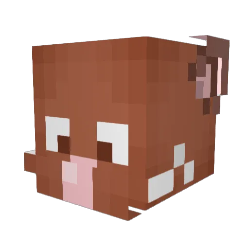 EmileLeGrosRat Minecraft avatar head, 3D render