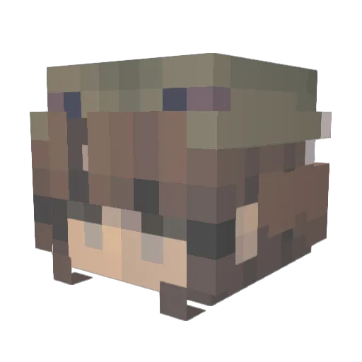 Emilek0com Minecraft avatar head, 3D render