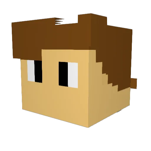 Emilhoy Minecraft avatar head, 3D render