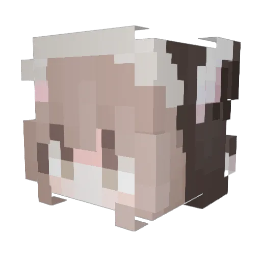 Emilie101111 Minecraft avatar head, 3D render