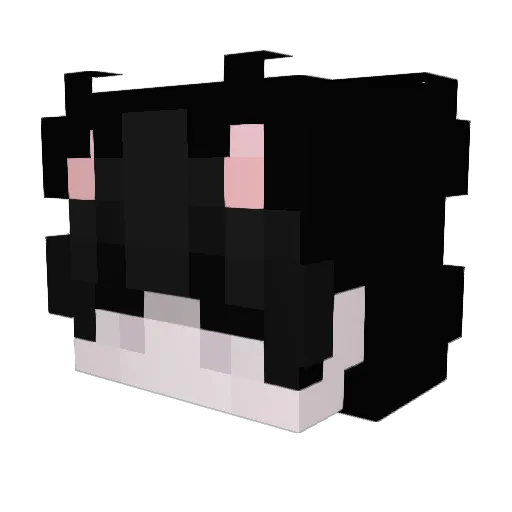 Emilieusz Minecraft avatar head, 3D render