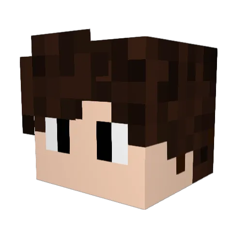 Minecraft-Avatar von Emiliux2507: Kopf als 3D-Render