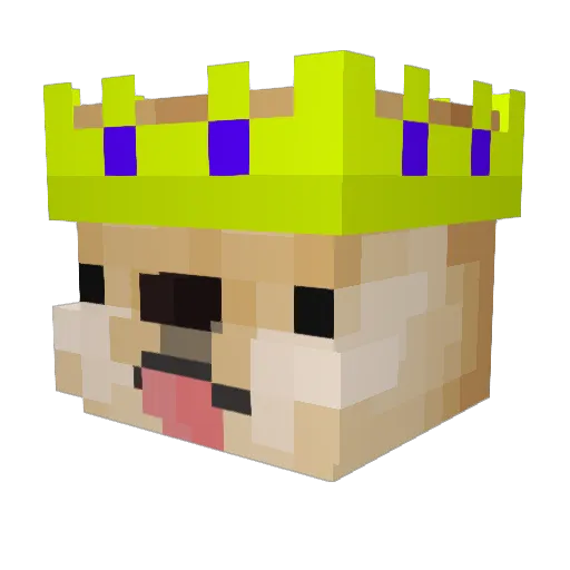 Emiliuzs Minecraft avatar head, 3D render