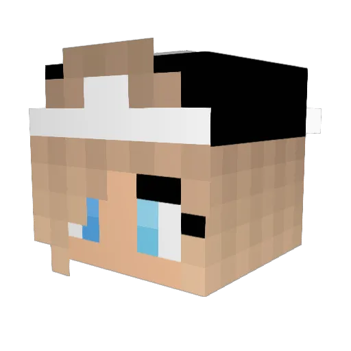 Emilizer11 Minecraft avatar head, 3D render