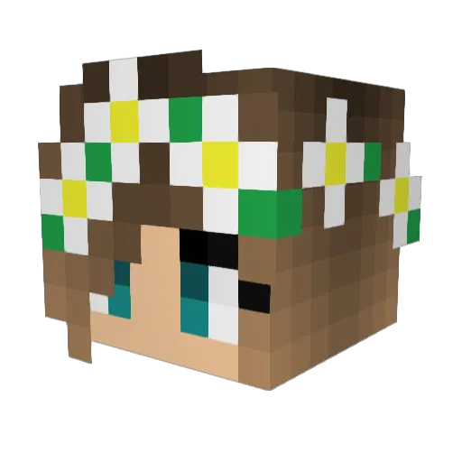 Emill0908 Minecraft avatar head, 3D render