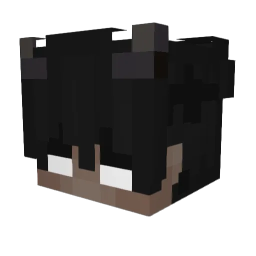 Emily2504 Minecraft avatar head, 3D render