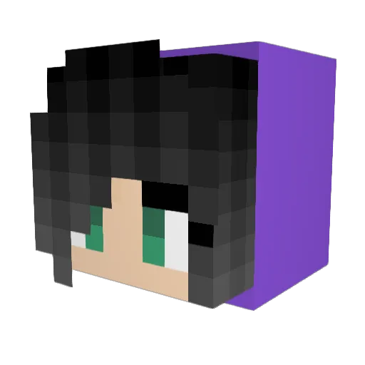 Emily3372 Minecraft avatar head, 3D render