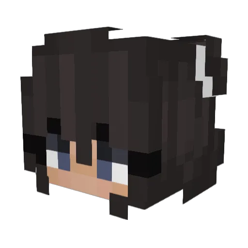 Emily738 Minecraft avatar head, 3D render