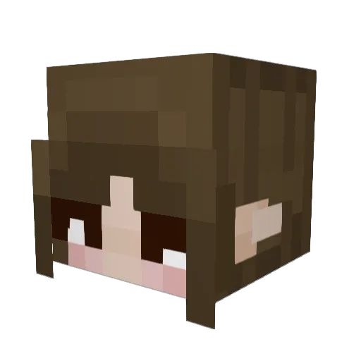 EmilyAre Minecraft avatar head, 3D render