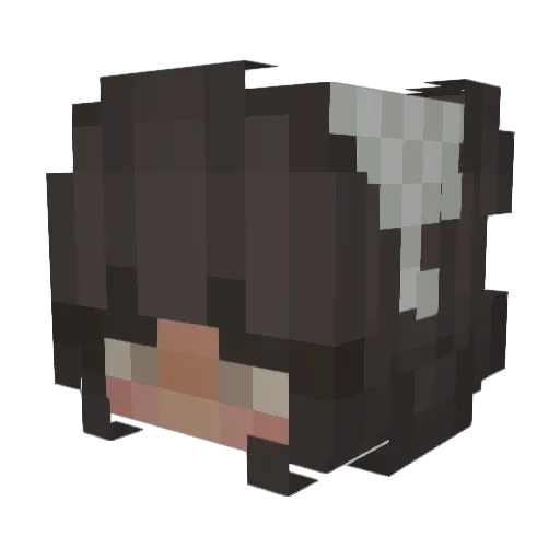EmilyB20 Minecraft avatar head, 3D render