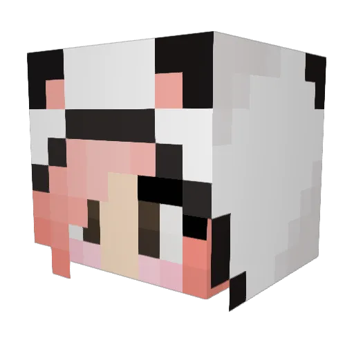 EmilyCheng Minecraft avatar head, 3D render