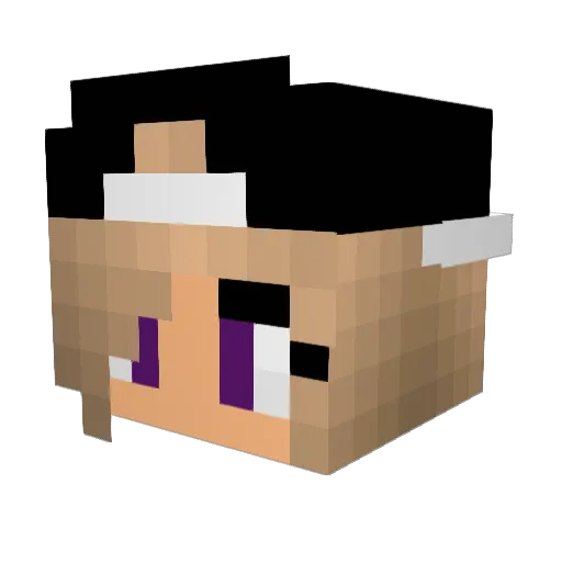EmilyHoos Minecraft avatar head, 3D render