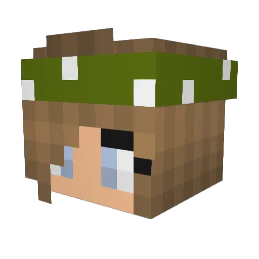 EmilyMills525252 Minecraft avatar head, 3D render
