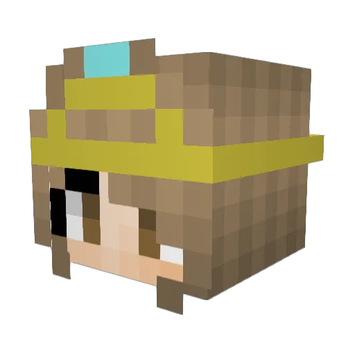 EmilyRenee923 Minecraft avatar head, 3D render