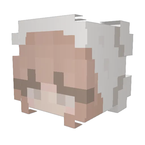 EmilyS3689 Minecraft avatar head, 3D render