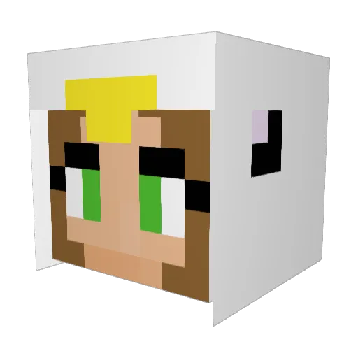 EmilyTheEagle Minecraft avatar head, 3D render