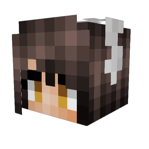 EmilyVasquez Minecraft avatar head, 3D render