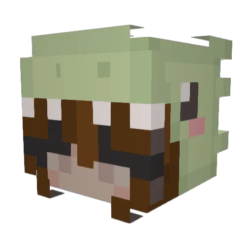 Emily_Rose8 Minecraft avatar head, 3D render