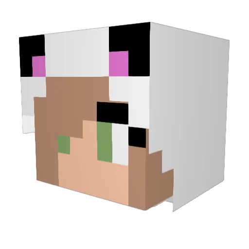 Emilycgm2001 Minecraft avatar head, 3D render