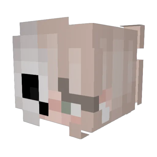 Emilydoglover Minecraft avatar head, 3D render