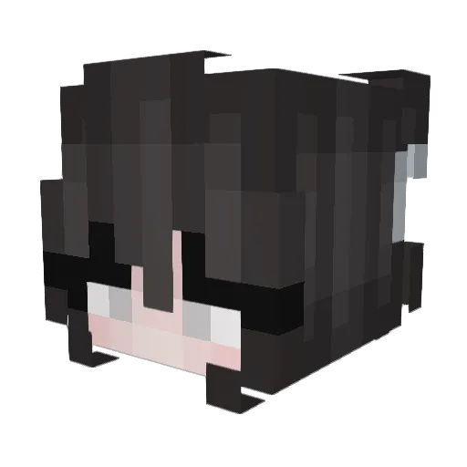 Emilyily Minecraft avatar head, 3D render
