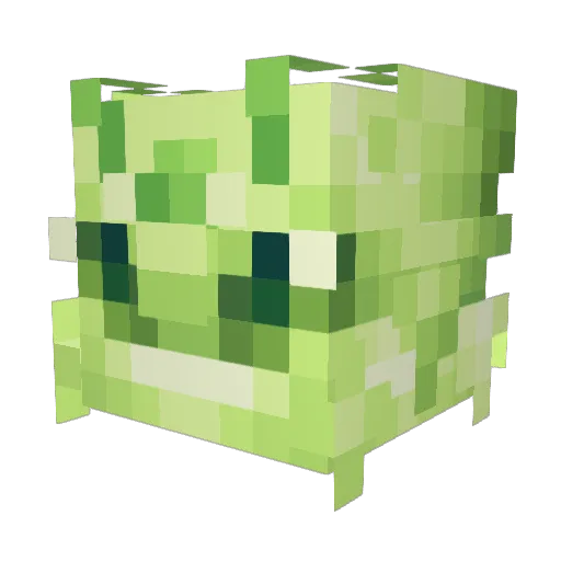 Emilyoid Minecraft avatar head, 3D render