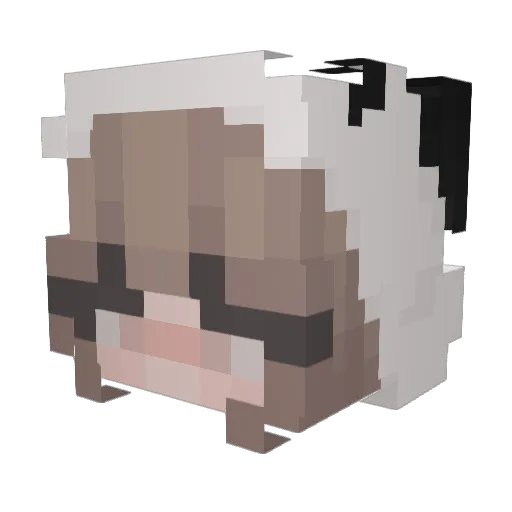 Emilyr519 Minecraft avatar head, 3D render