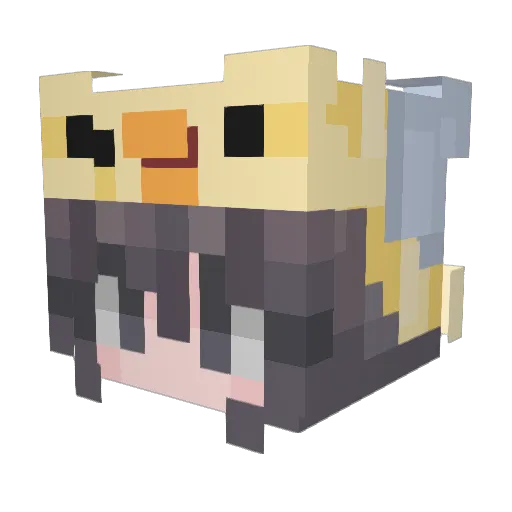 Emilywangg Minecraft avatar head, 3D render