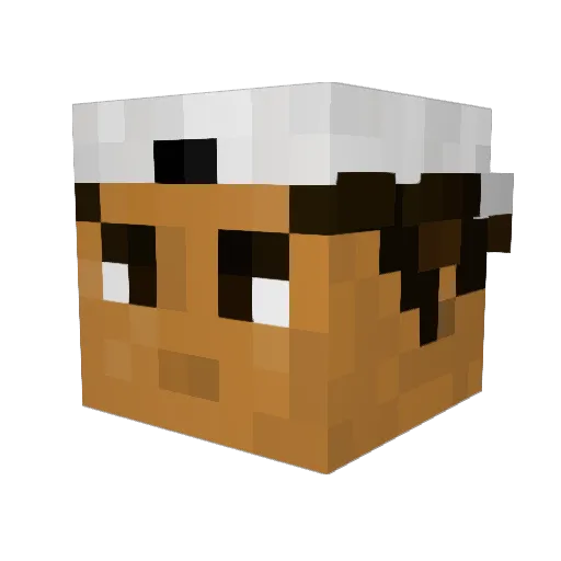 EminVonAli Minecraft avatar head, 3D render