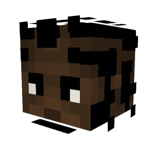 Eminho Minecraft avatar head, 3D render