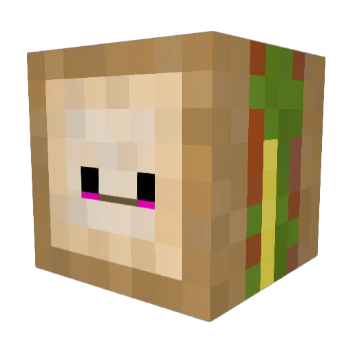 Emir2305 Minecraft avatar head, 3D render