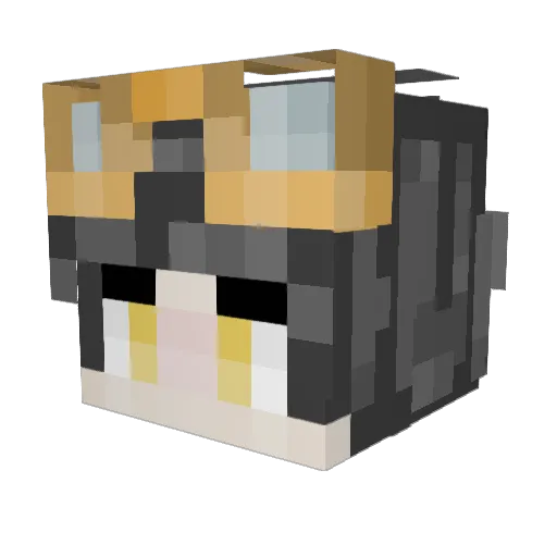 EmirGorkemAYK Minecraft avatar head, 3D render