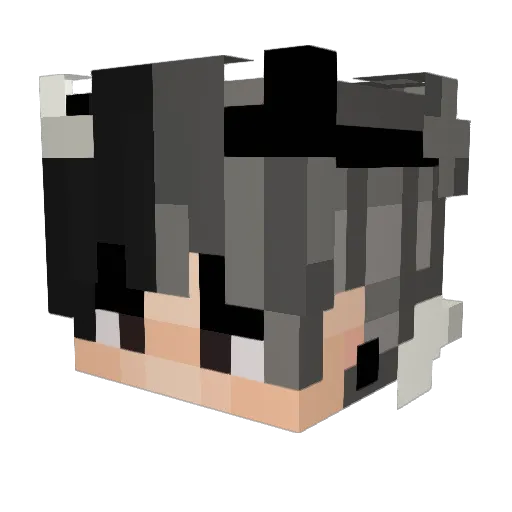 Emirax223 Minecraft avatar head, 3D render