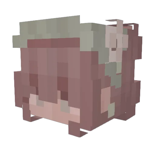 Emirkaan12 Minecraft avatar head, 3D render
