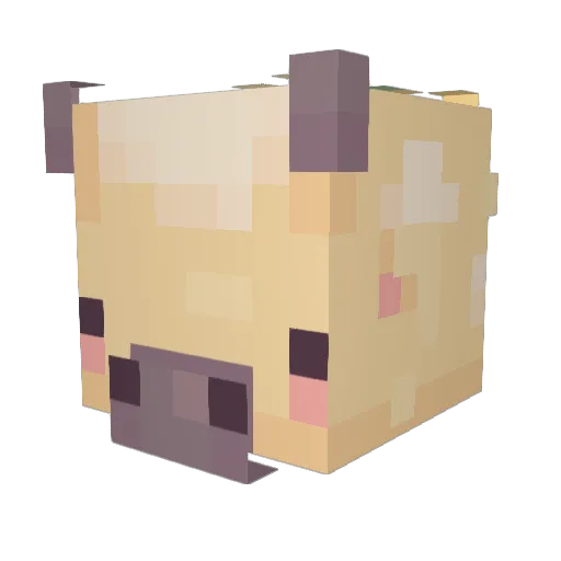 EmiryChann Minecraft avatar head, 3D render