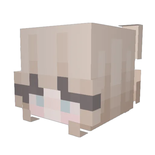 Emiska_ Minecraft avatar head, 3D render